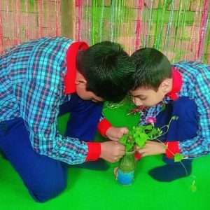 whatsapp image 2025 07 12 at 18.16.29